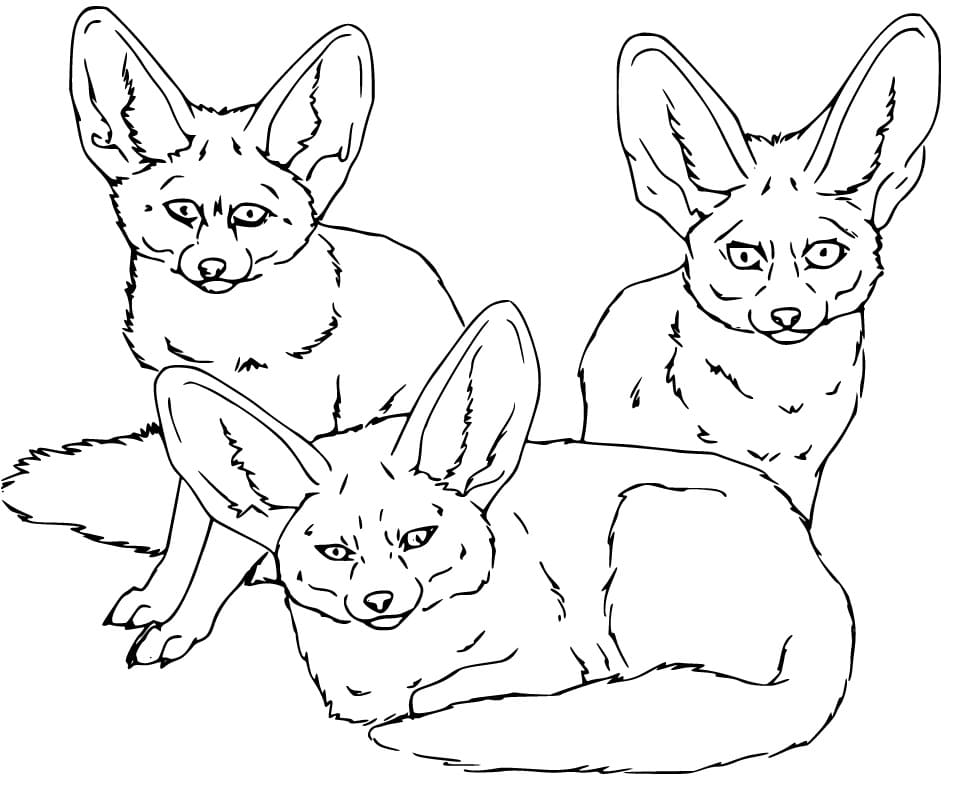 Three Fennec Foxes Coloring Page
