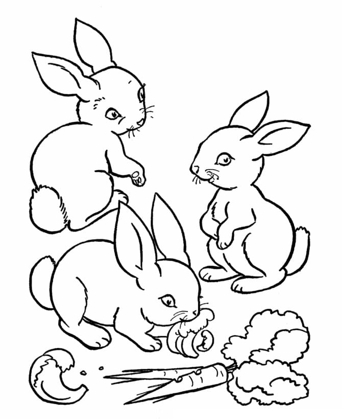 Three Rabbits