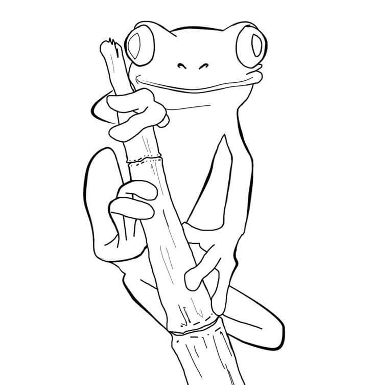 Toad 4 Coloring Page