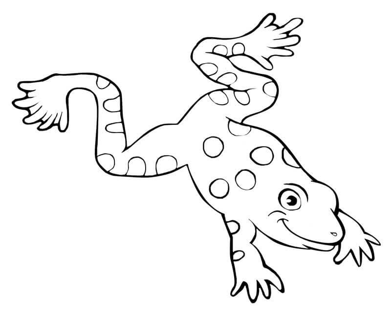 Toad 6 Coloring Page