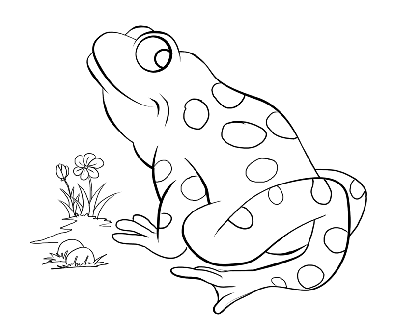 Toad and Flower Coloring Page
