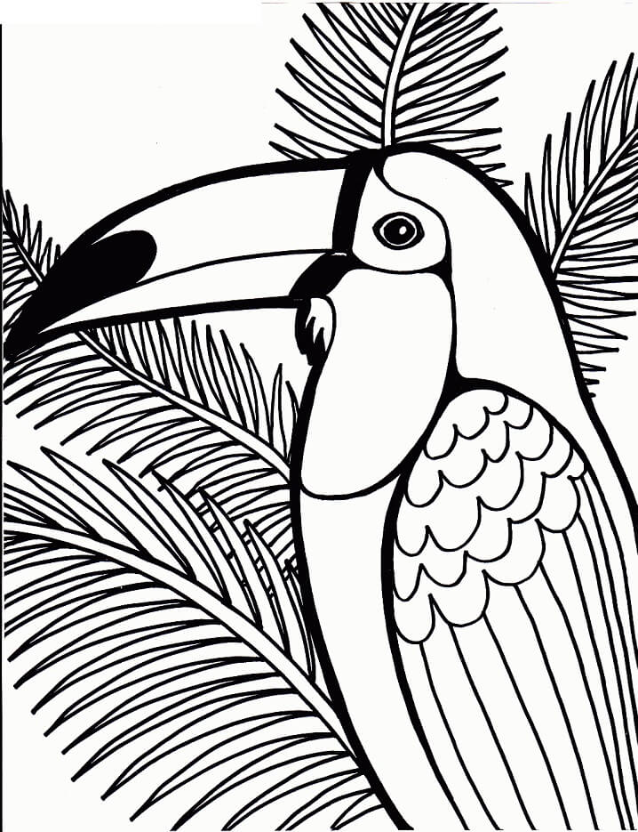 Toucan Bird 3 Coloring Page