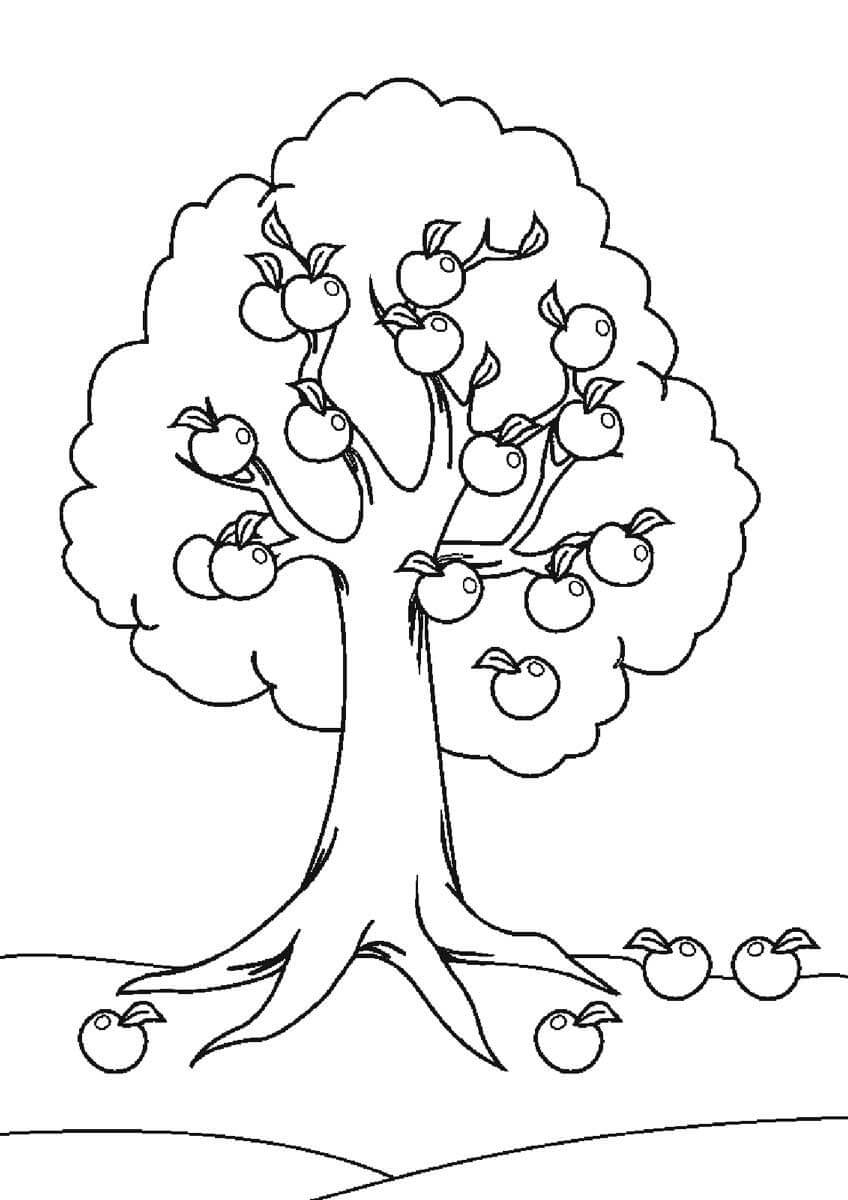 Tree 3 Coloring Page