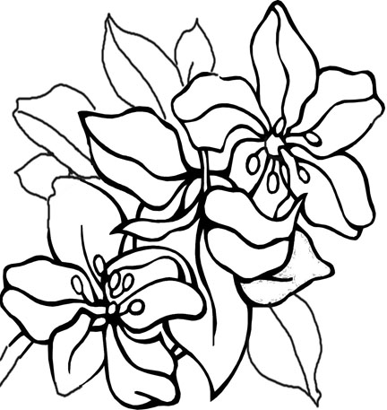 Tropical Flower Nature Coloring Page