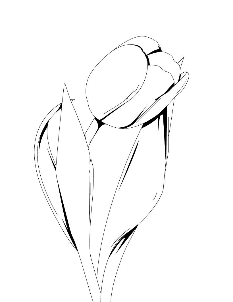 Tulips For Kids Coloring Page