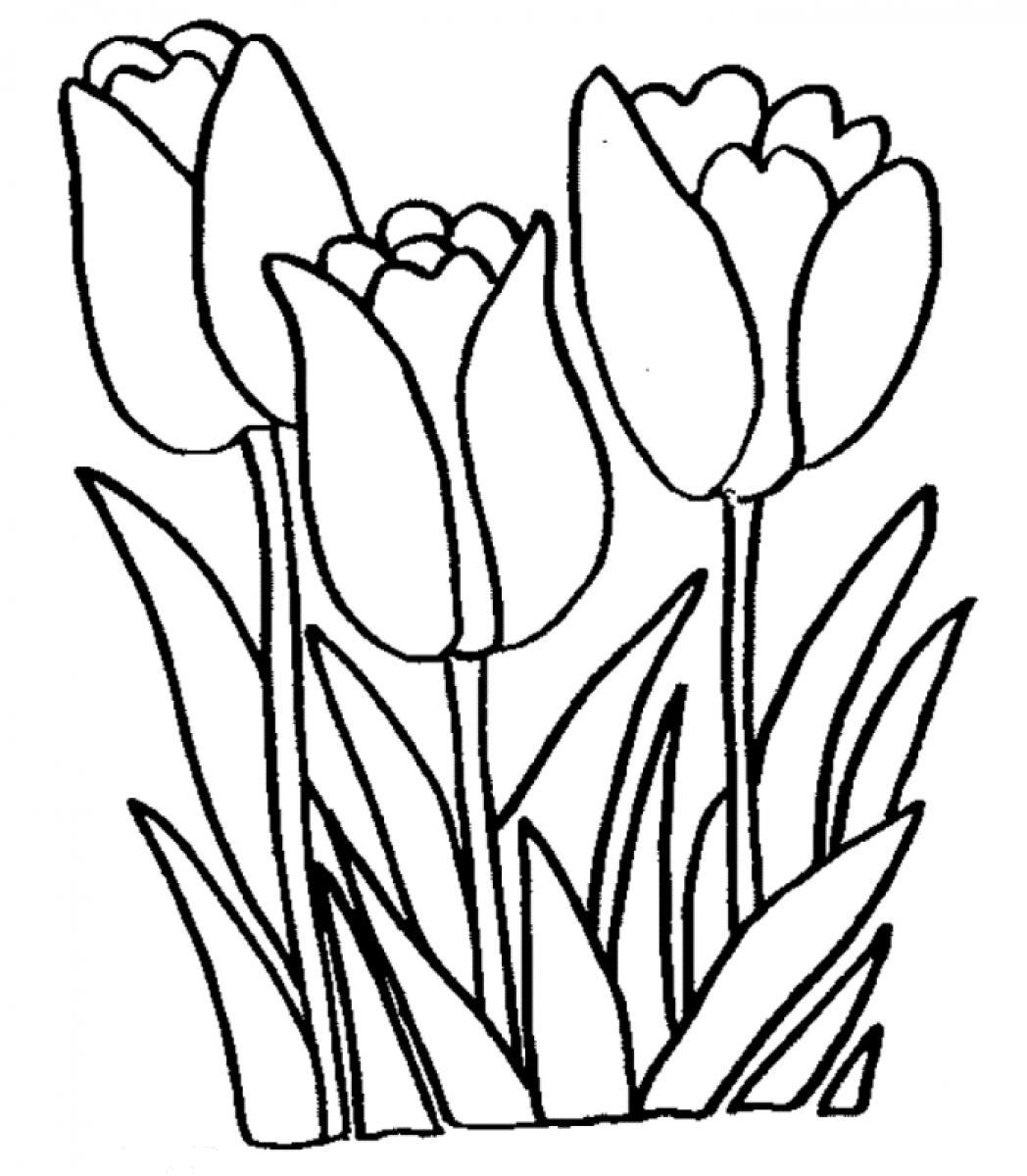 Tulips Free Printable Coloring Page