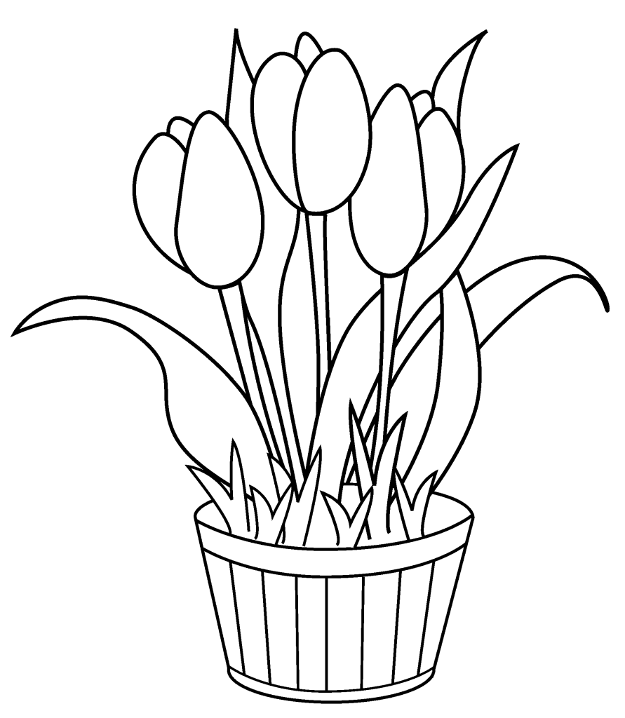 Tulips Printable Coloring Page