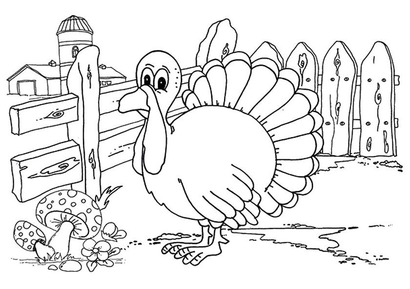 Turkey At The Farm Coloring Page