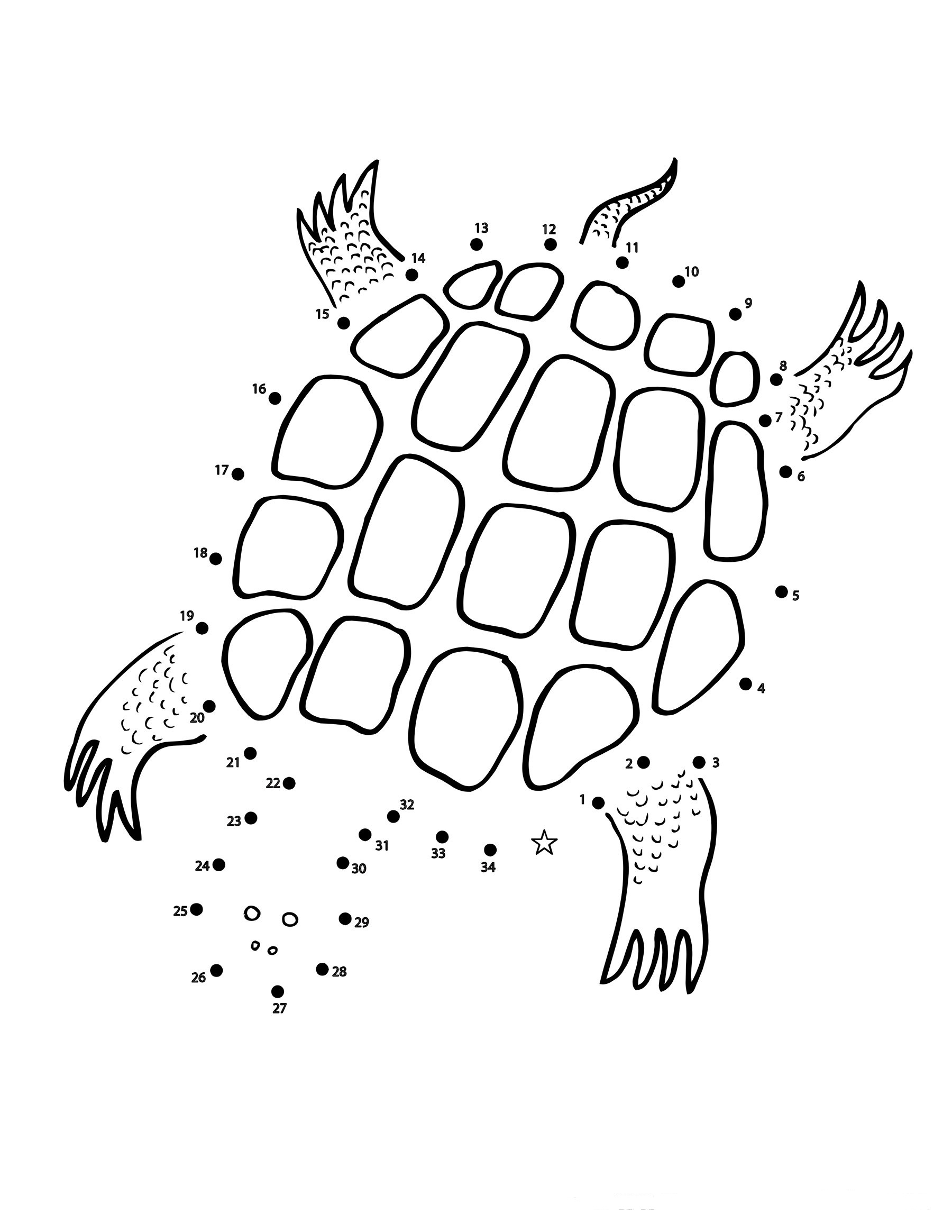 Turtle Dot To Dots Coloring Page