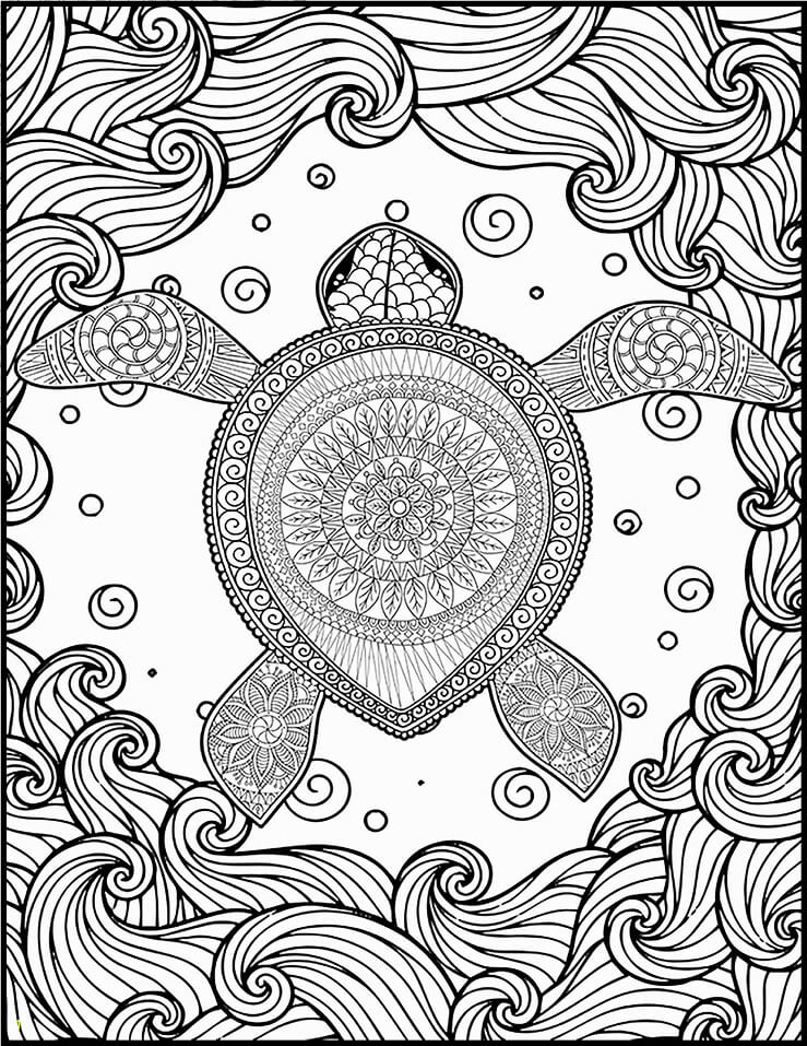 Turtle Hard Coloring Page