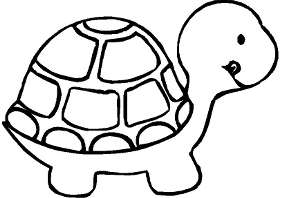 Turtle Preschool S Zoo Animalsabd8 Coloring Page