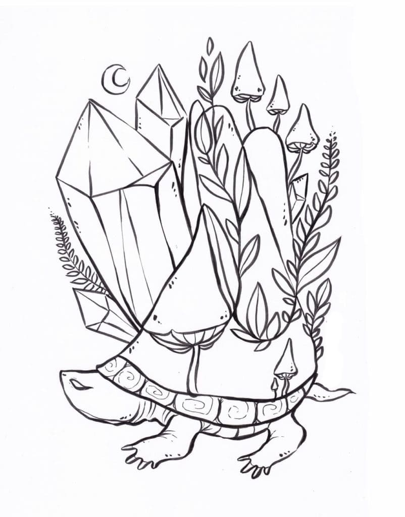 Turtle with Crystal Aestheics Coloring Page