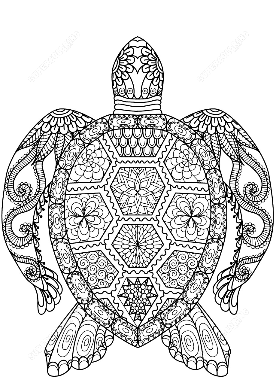 Turtle Zentangle Adults