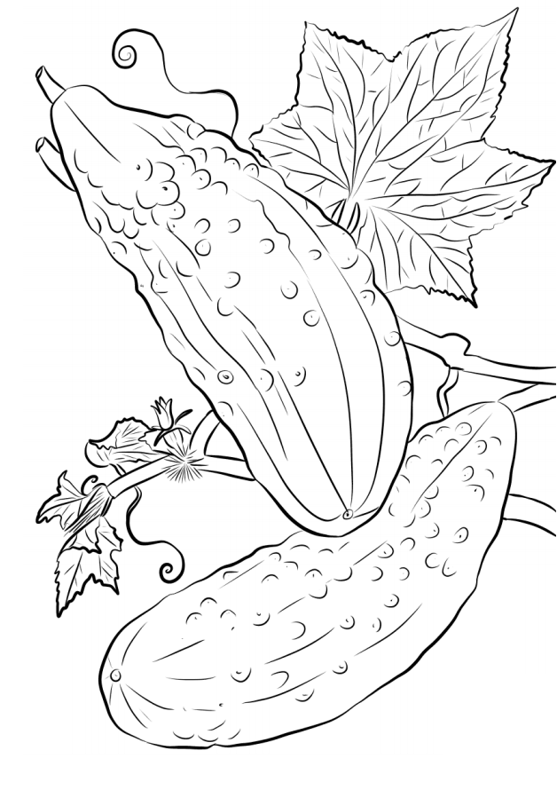 Two Cucumbers Coloring Page