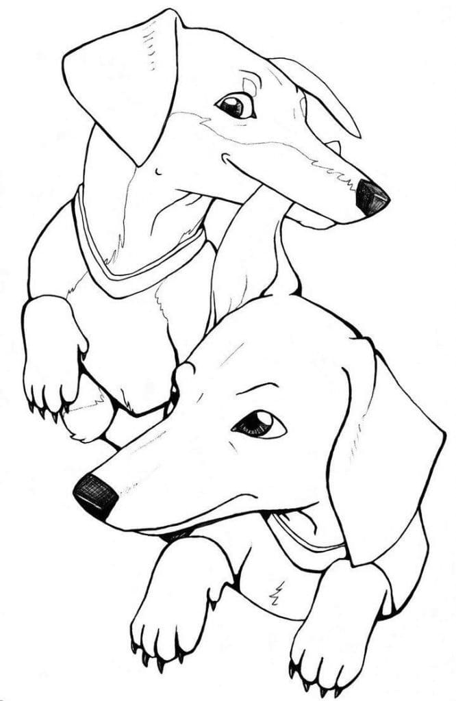 Two Dachshund Coloring Page