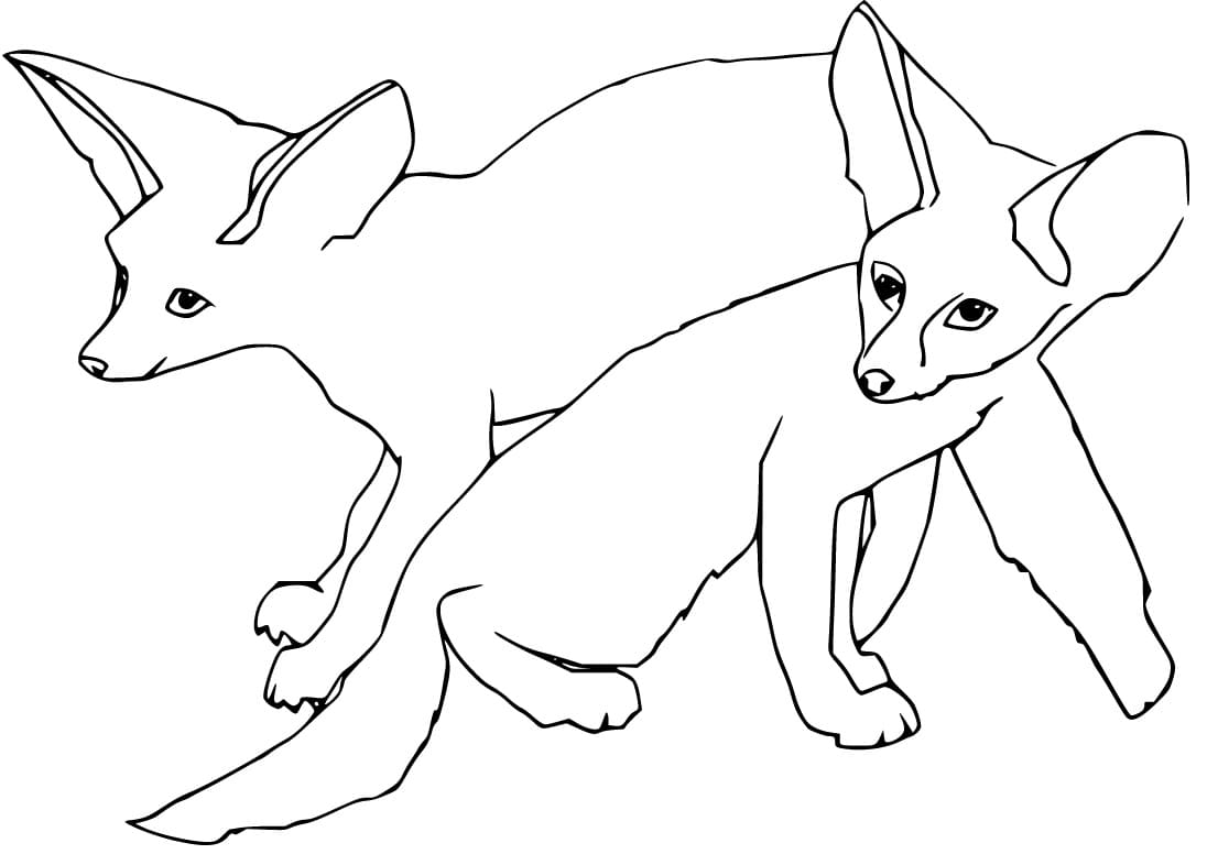 Two Fennec Foxes Coloring Page