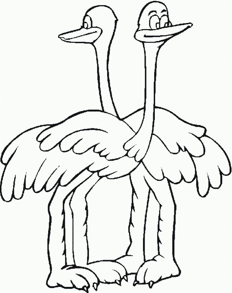 Two Ostriches Coloring Page