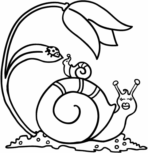 Two Snail Coloring Page