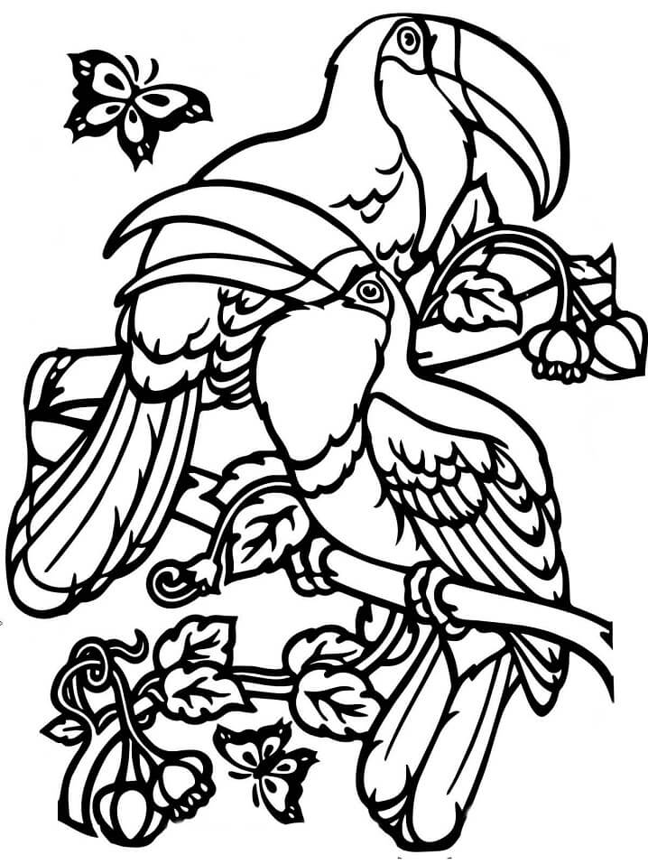Two Toucans Coloring Page