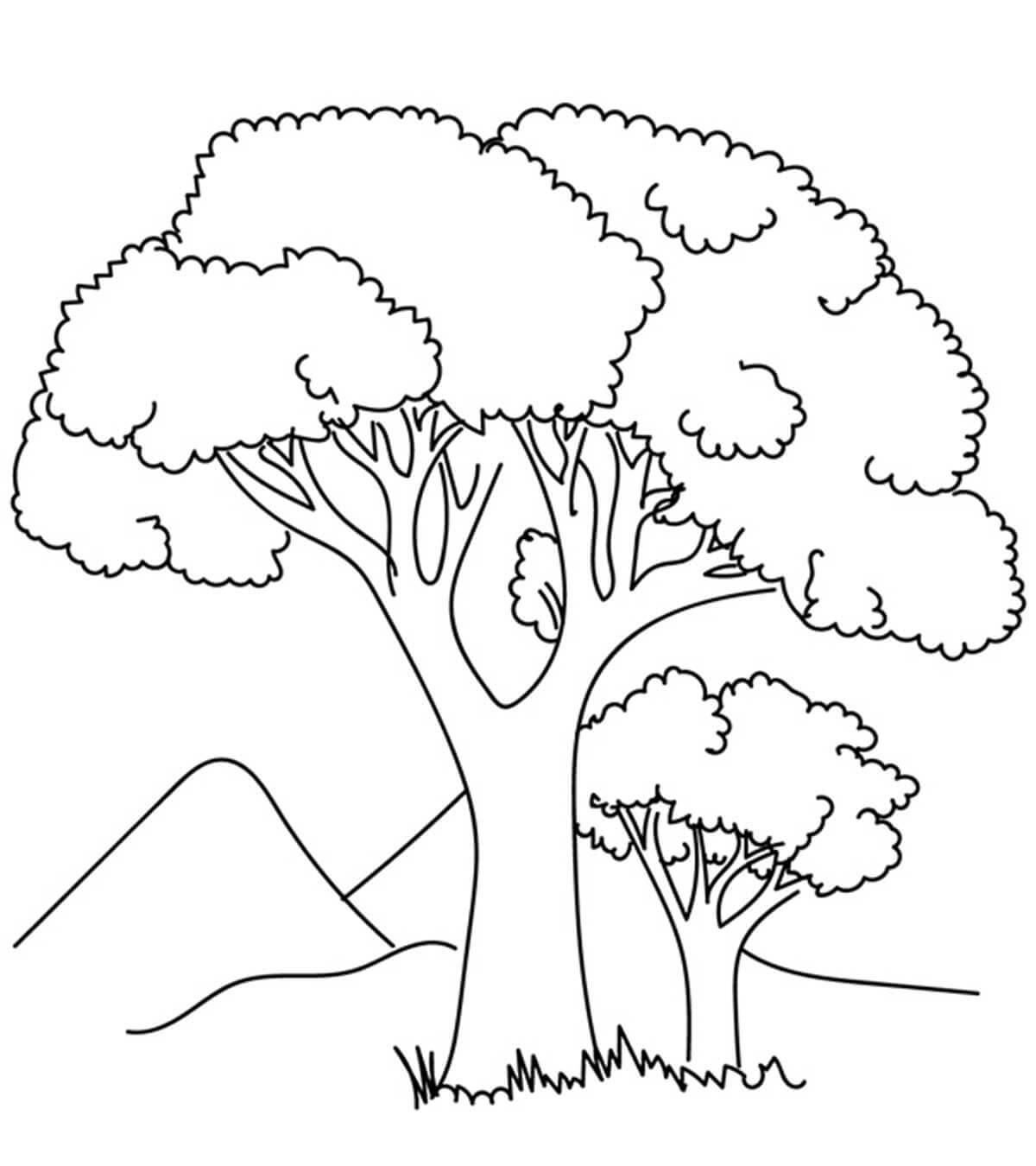 Two Tree Coloring Page