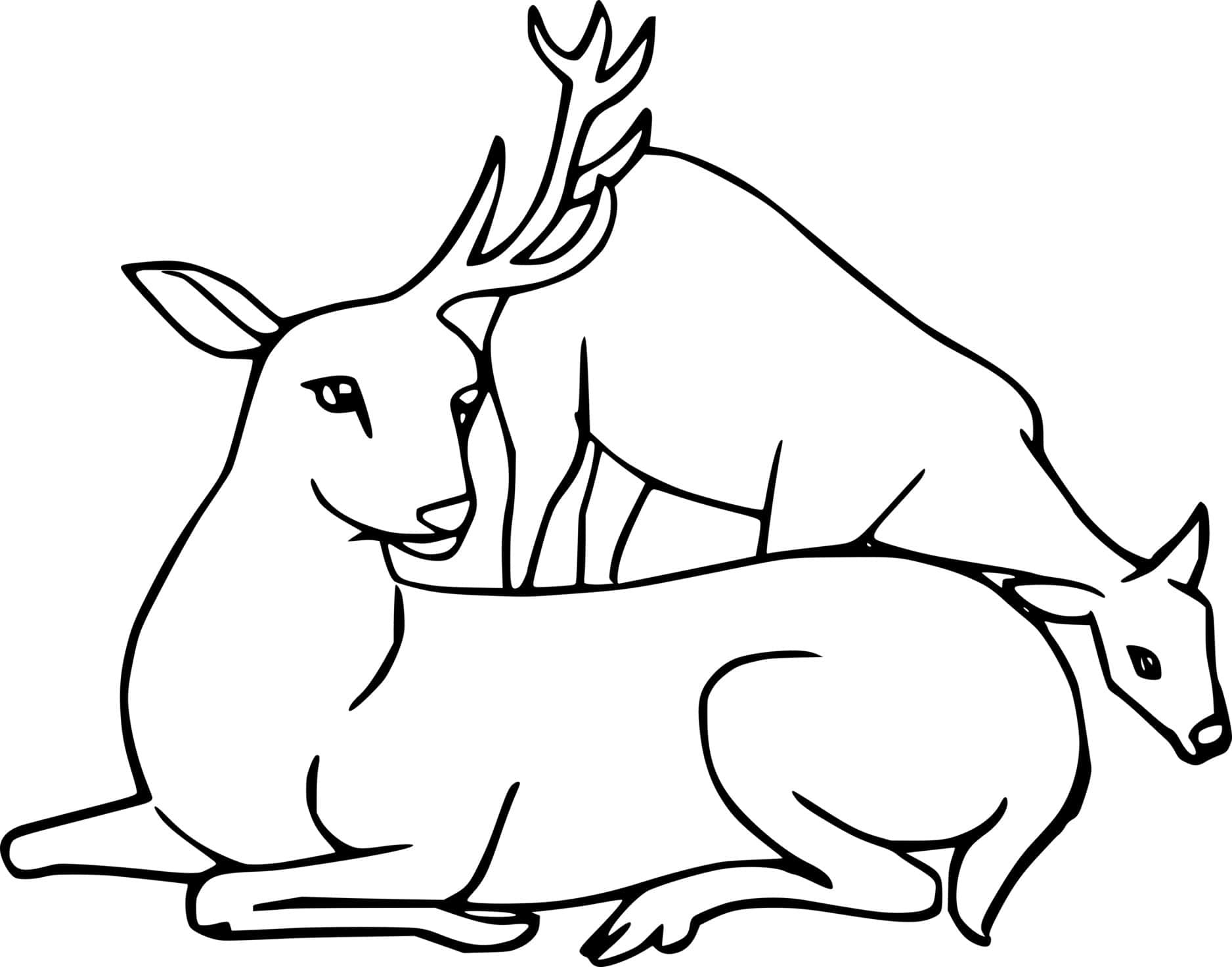 Two White Tailed Deer Coloring Page