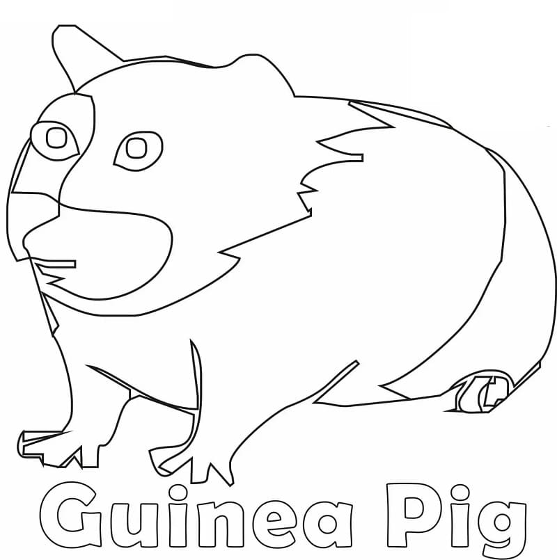 Ugly Guinea Pig Coloring Page