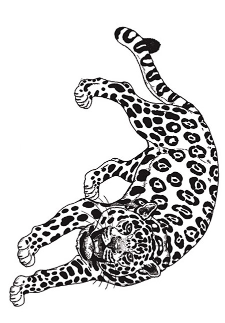 Umbrella Mural Coloring Jaguar By Jan Brett Coloring Page