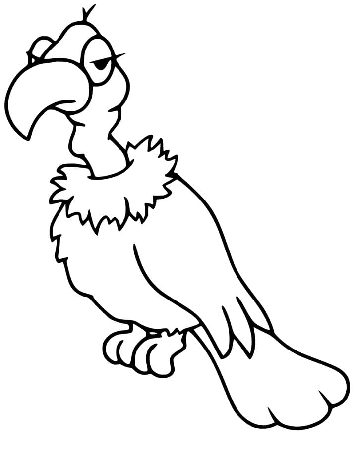 Unhappy Vulture