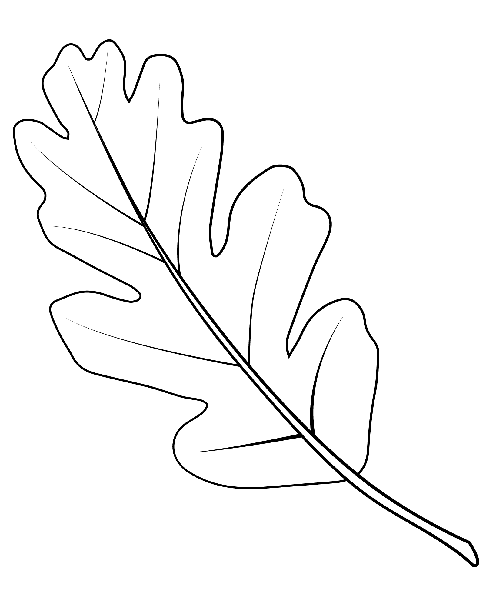 Valley Oak Leaf