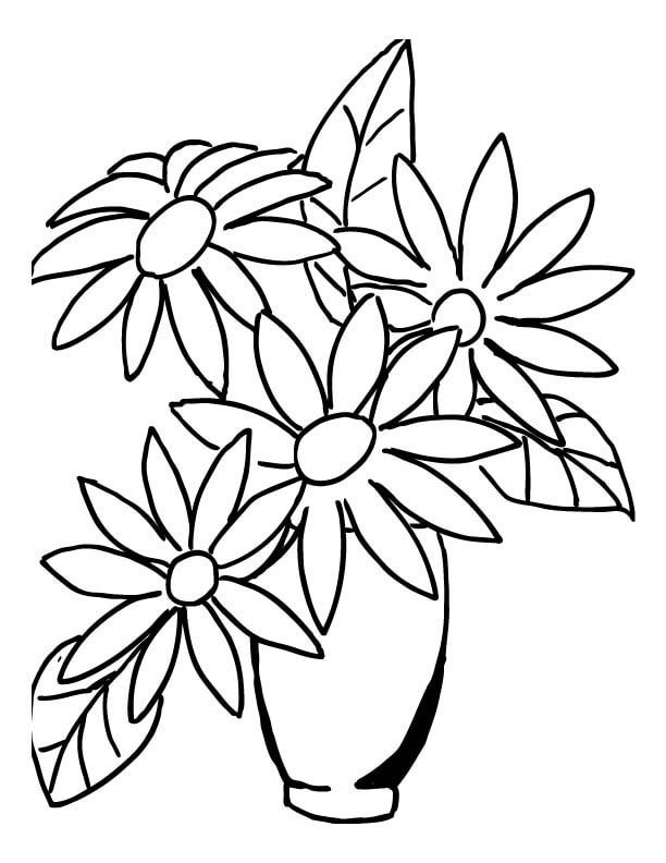 Vase of Daisy Flowers