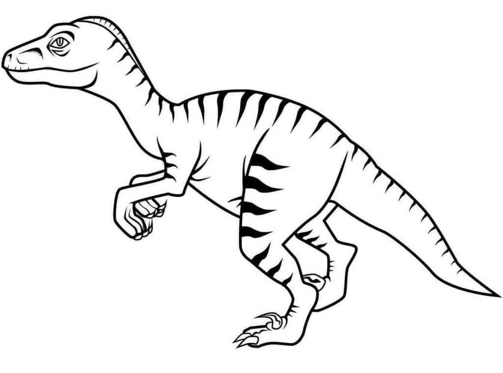 Velociraptor 6 Coloring Page