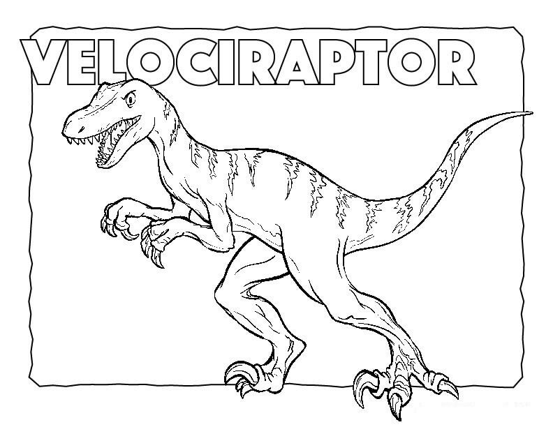 Velociraptor 8 Coloring Page