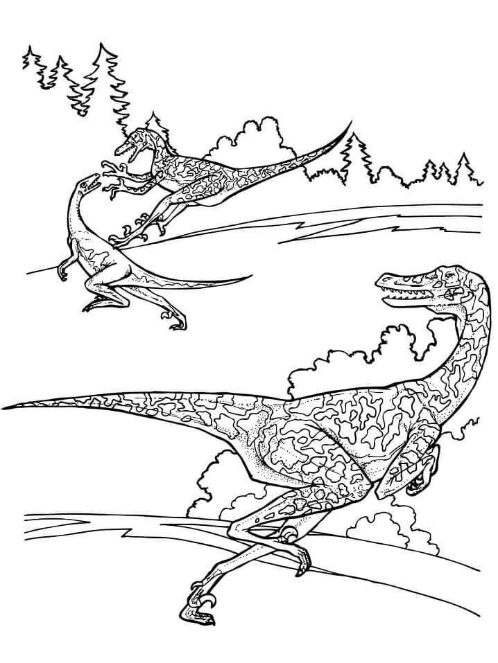 Velociraptor Dinosaurs Coloring Page
