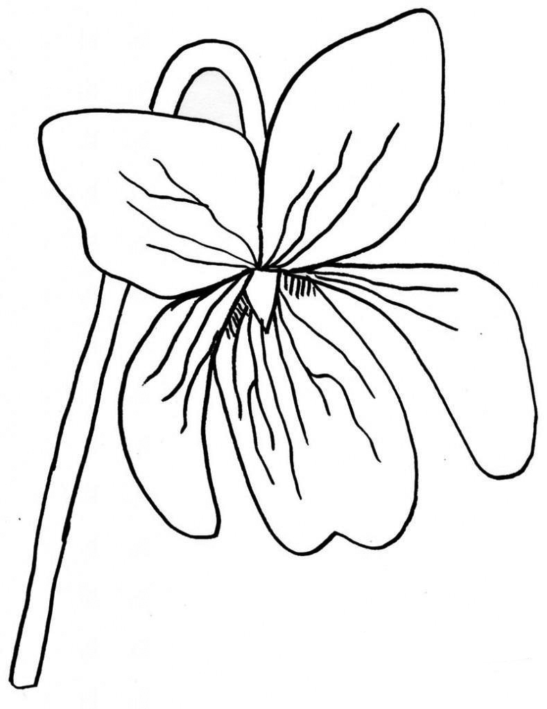 Violet Flowers Coloring Page