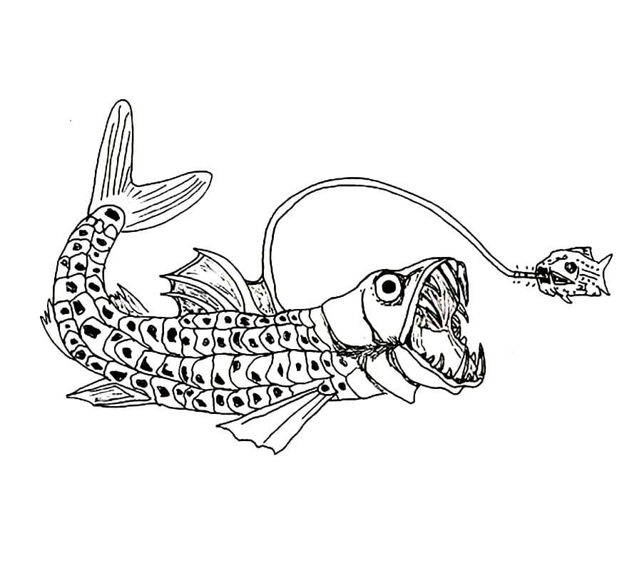 Viperfish Hunting Coloring Page