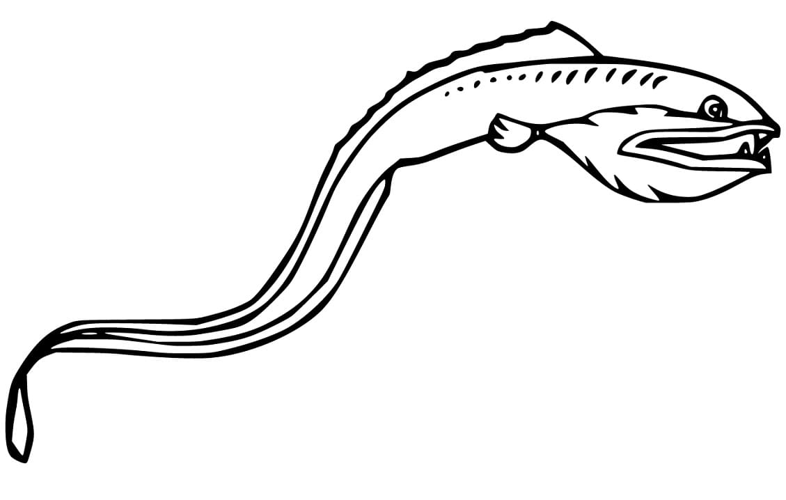 Viperfish Swimming