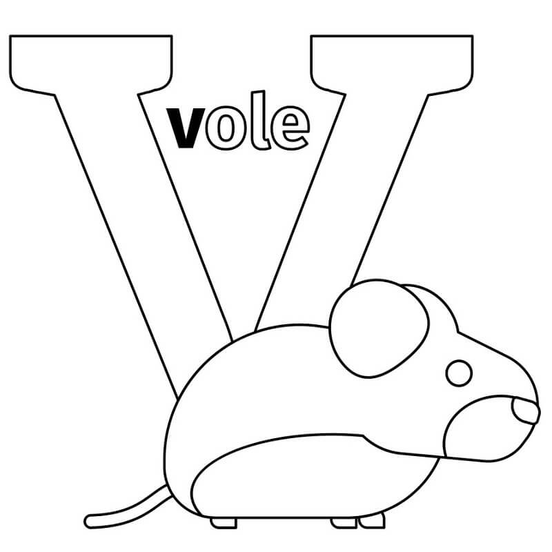 Vole Letter V Coloring Page
