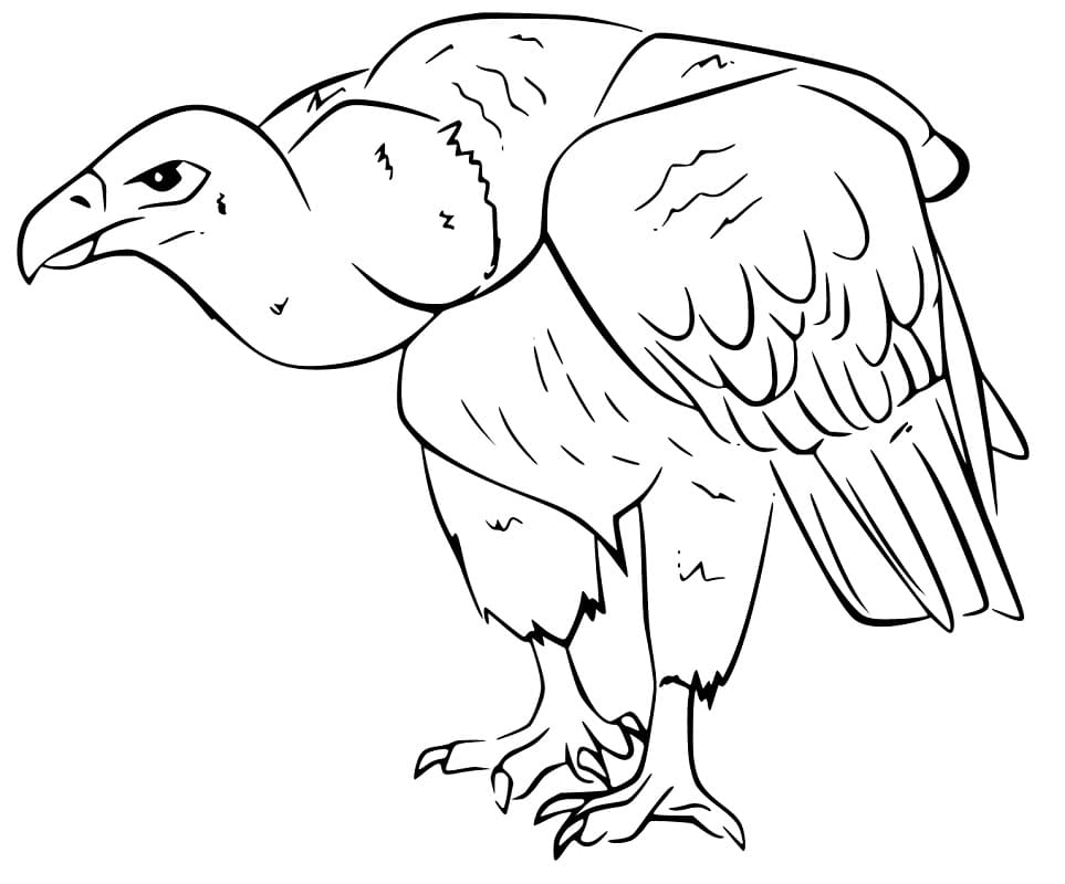 Vulture 10