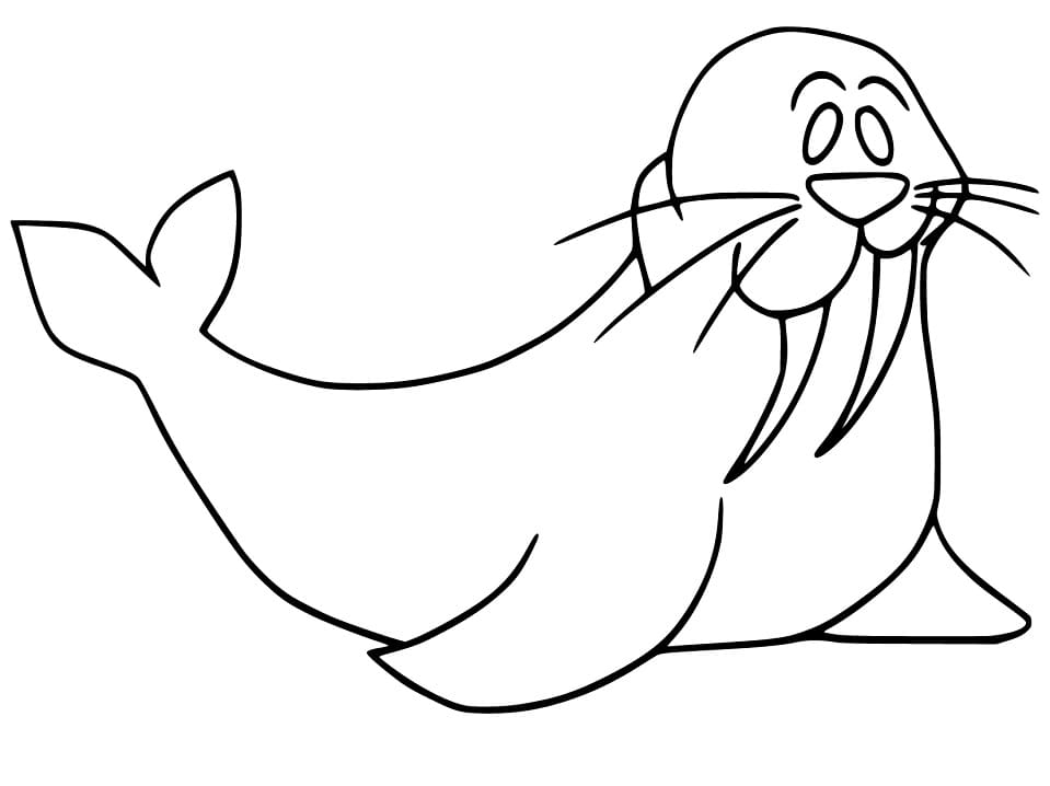 Walrus 1 Coloring Page