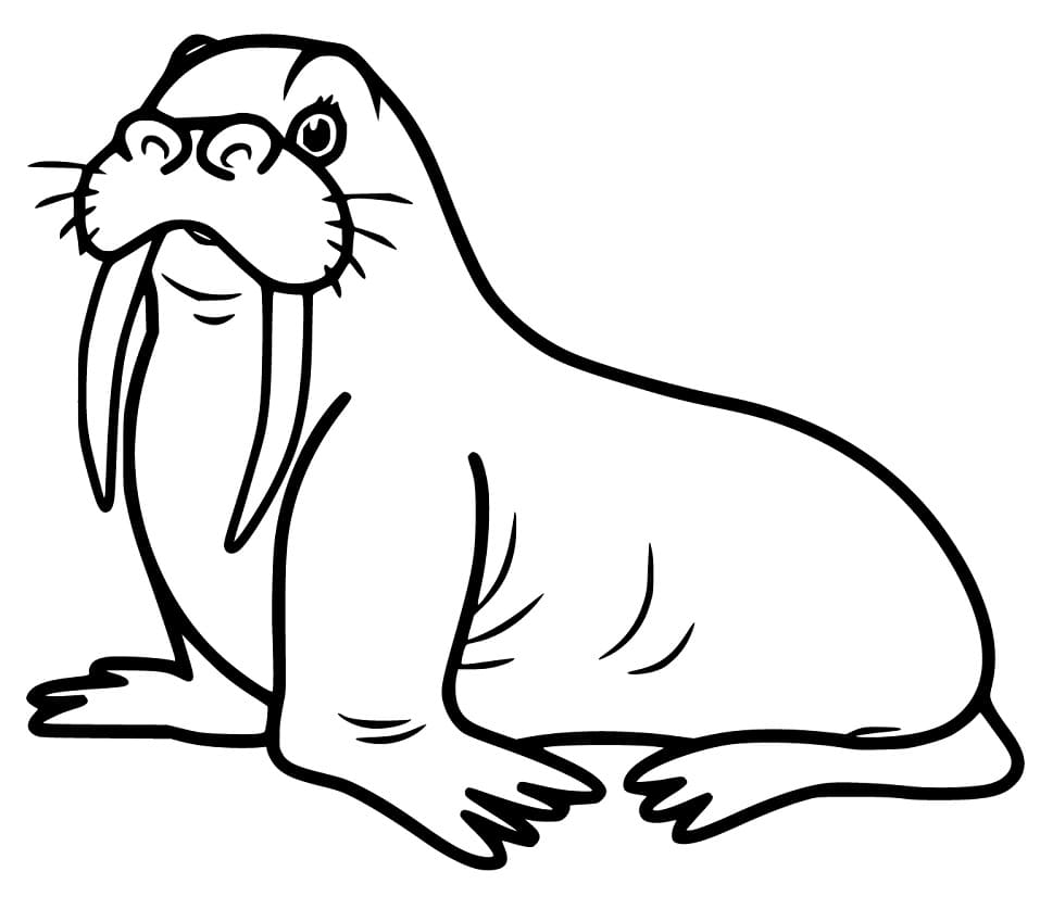 Walrus 13 Coloring Page