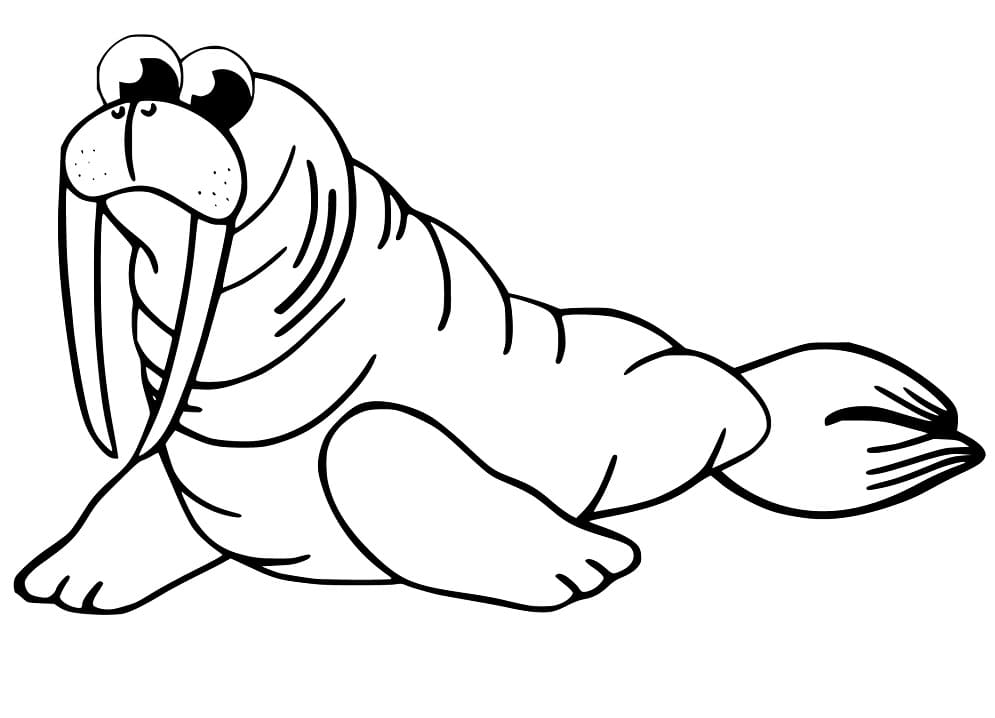Walrus 16 Coloring Page