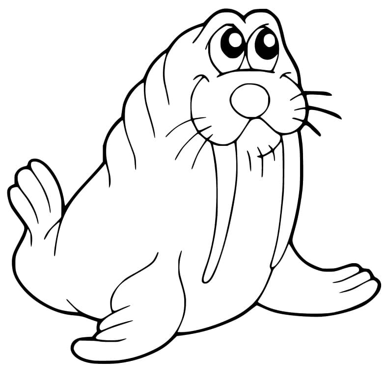 Walrus 18 Coloring Page