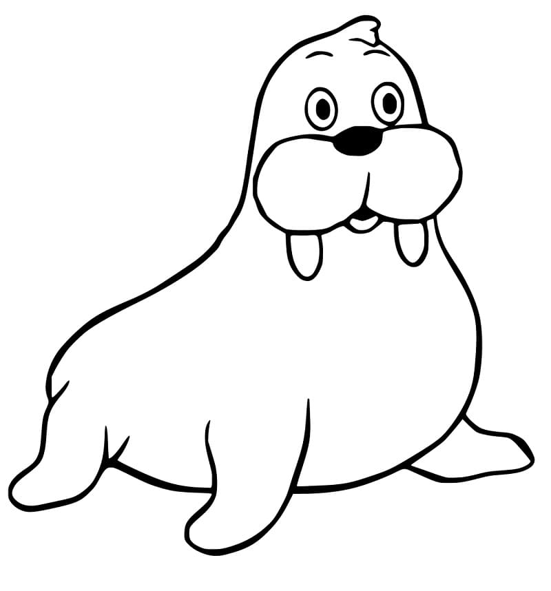 Walrus 3 Coloring Page