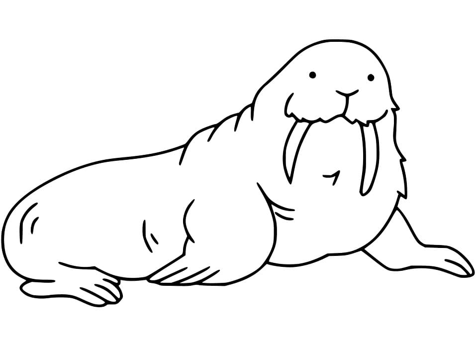 Walrus 5 Coloring Page
