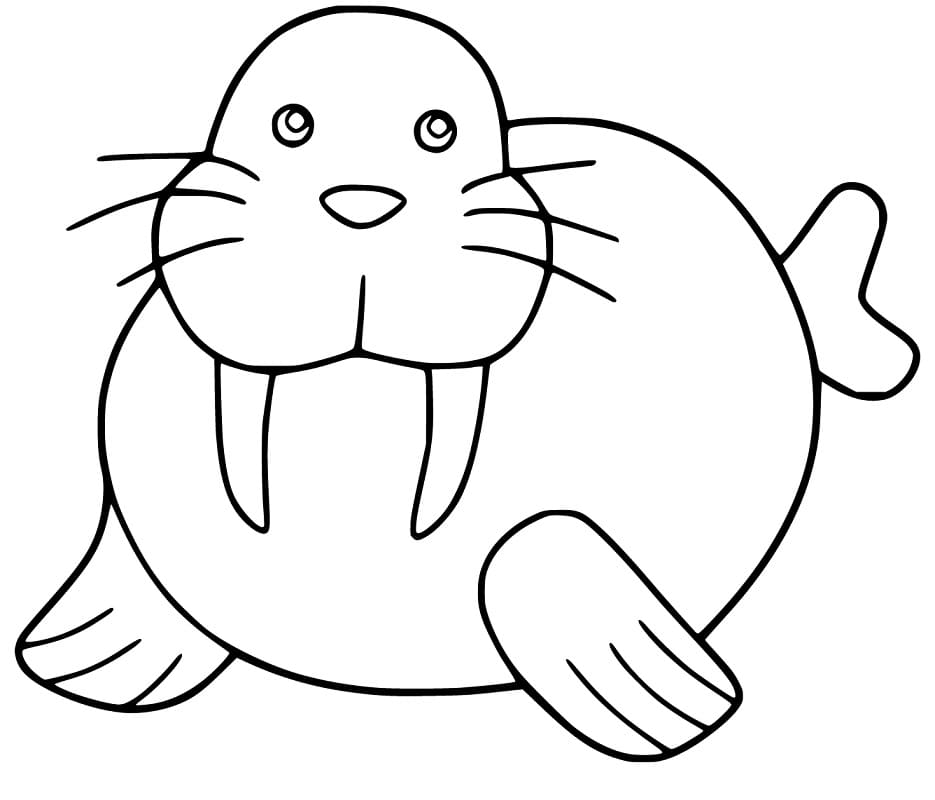 Walrus 6 Coloring Page