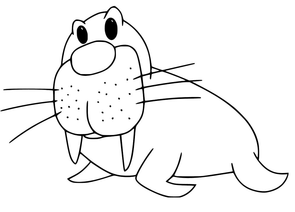 Walrus 8 Coloring Page