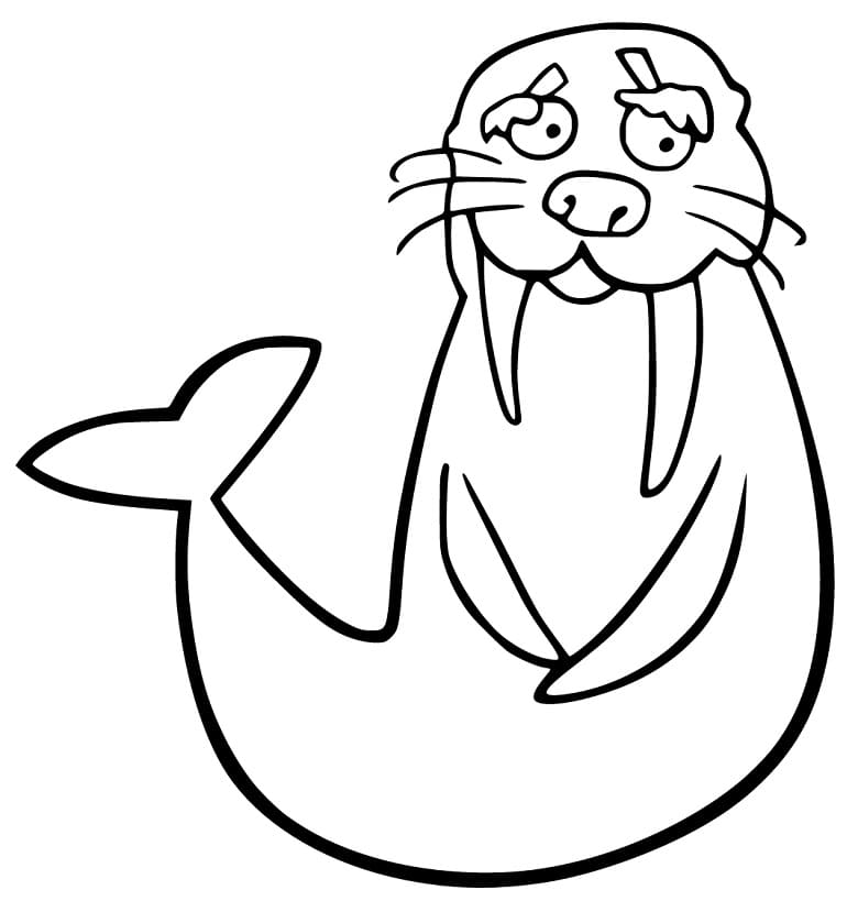 Walrus 9 Coloring Page
