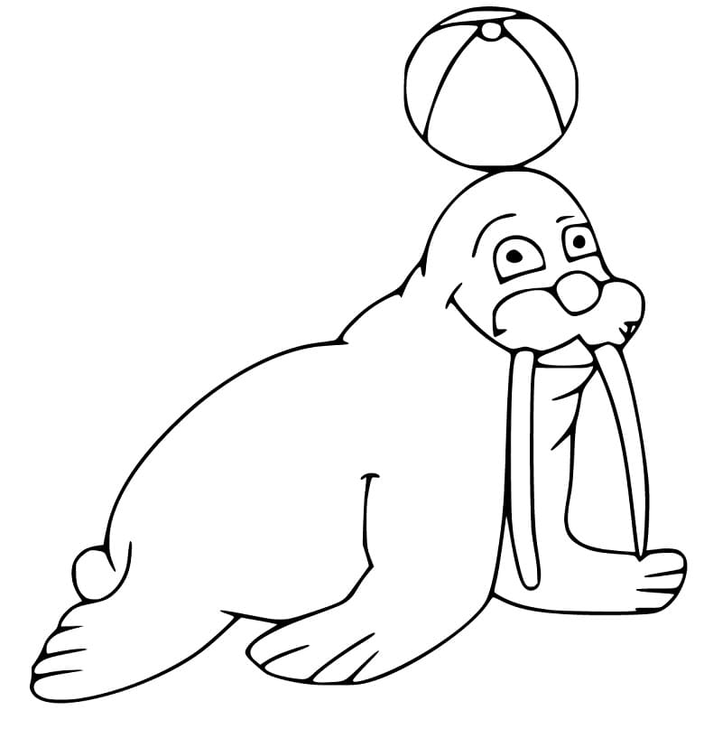 Walrus and Ball Coloring Page