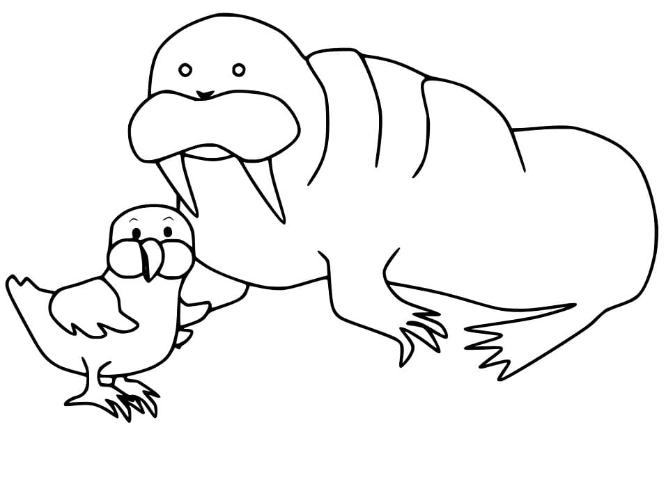 Walrus and Chicken Coloring Page