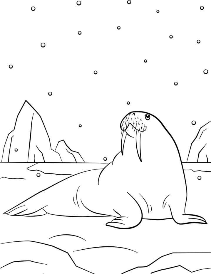 Walrus and Snowflakes
